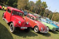 Soubor: FBIMG_3784.JPG